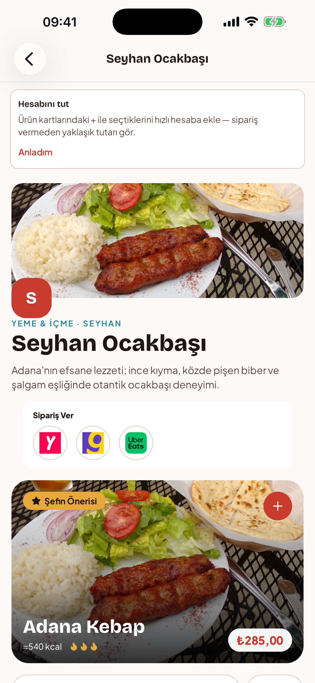 Adana'da Ne? screenshot 3