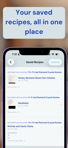 SaltSnap: Recipe Seasoning screenshot