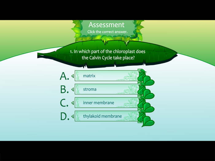 Light Independent Reaction