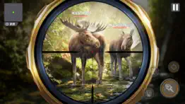 the hunter - охота на животных айфон картинки 1