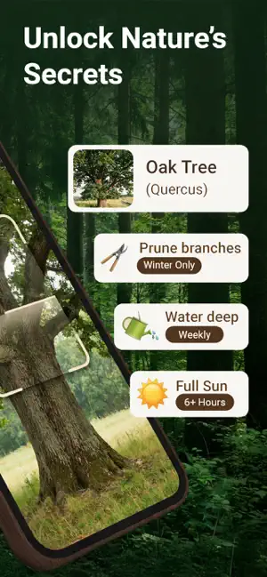 Tree Identifier: Leaf ID screenshot 2