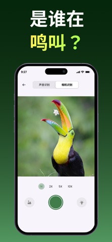 鸟类识别：叫声与拍照 screenshot