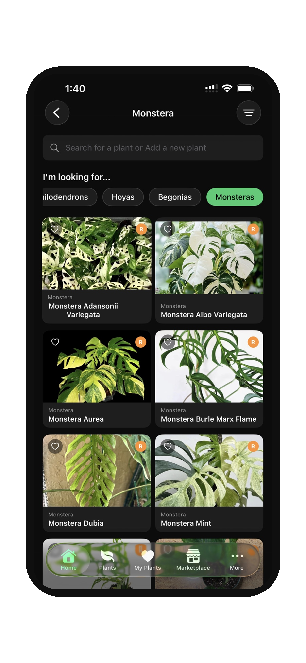 Leaf People: Rare Plant Guide