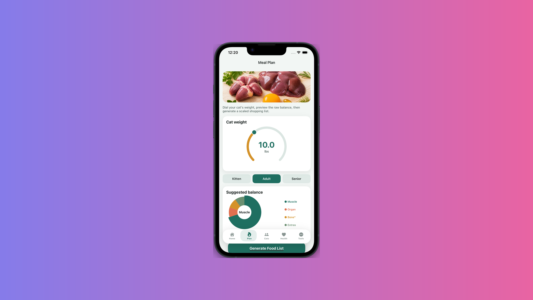 Catfoodcy screenshot 3