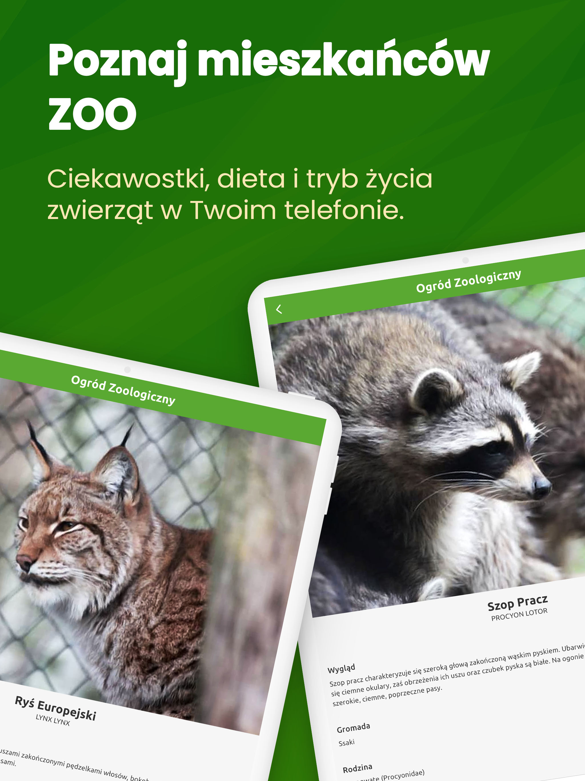 Myślęcinek