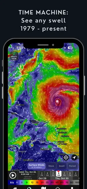 Wavemaps: Wave Forecasts screenshot 3