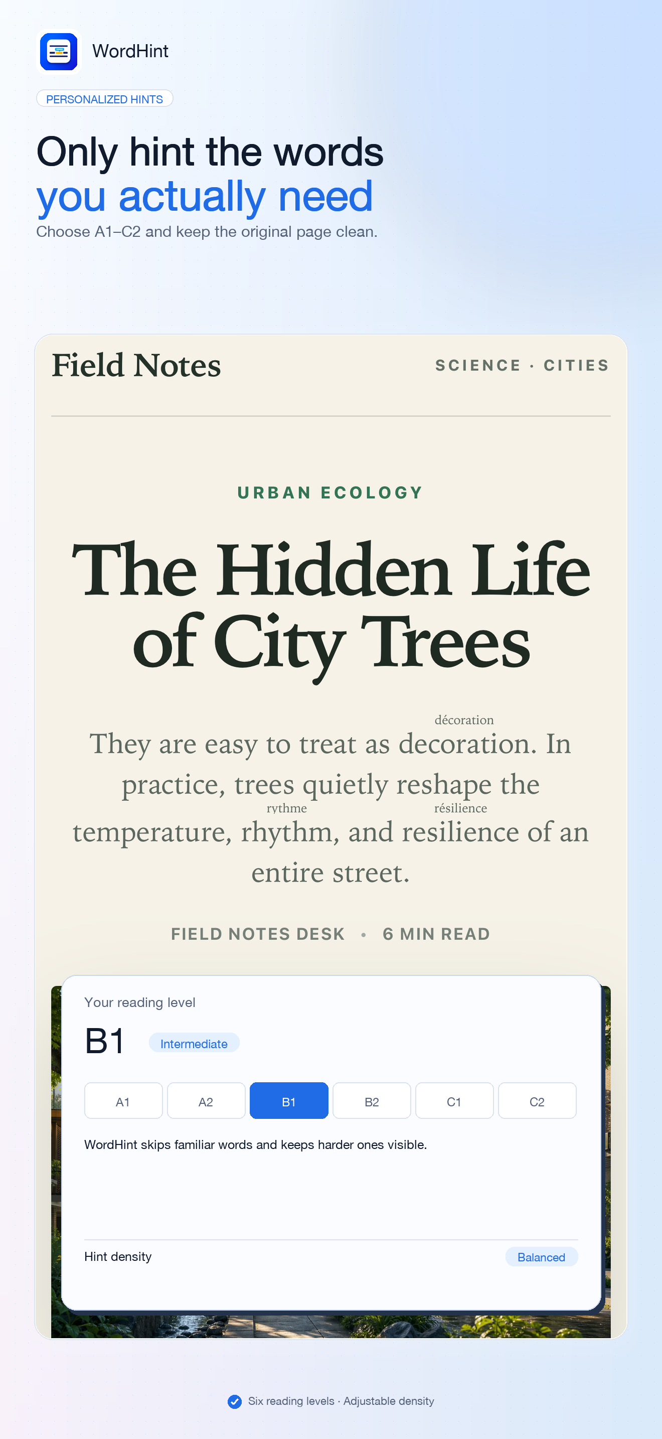 WordHint for Safari screenshot 2