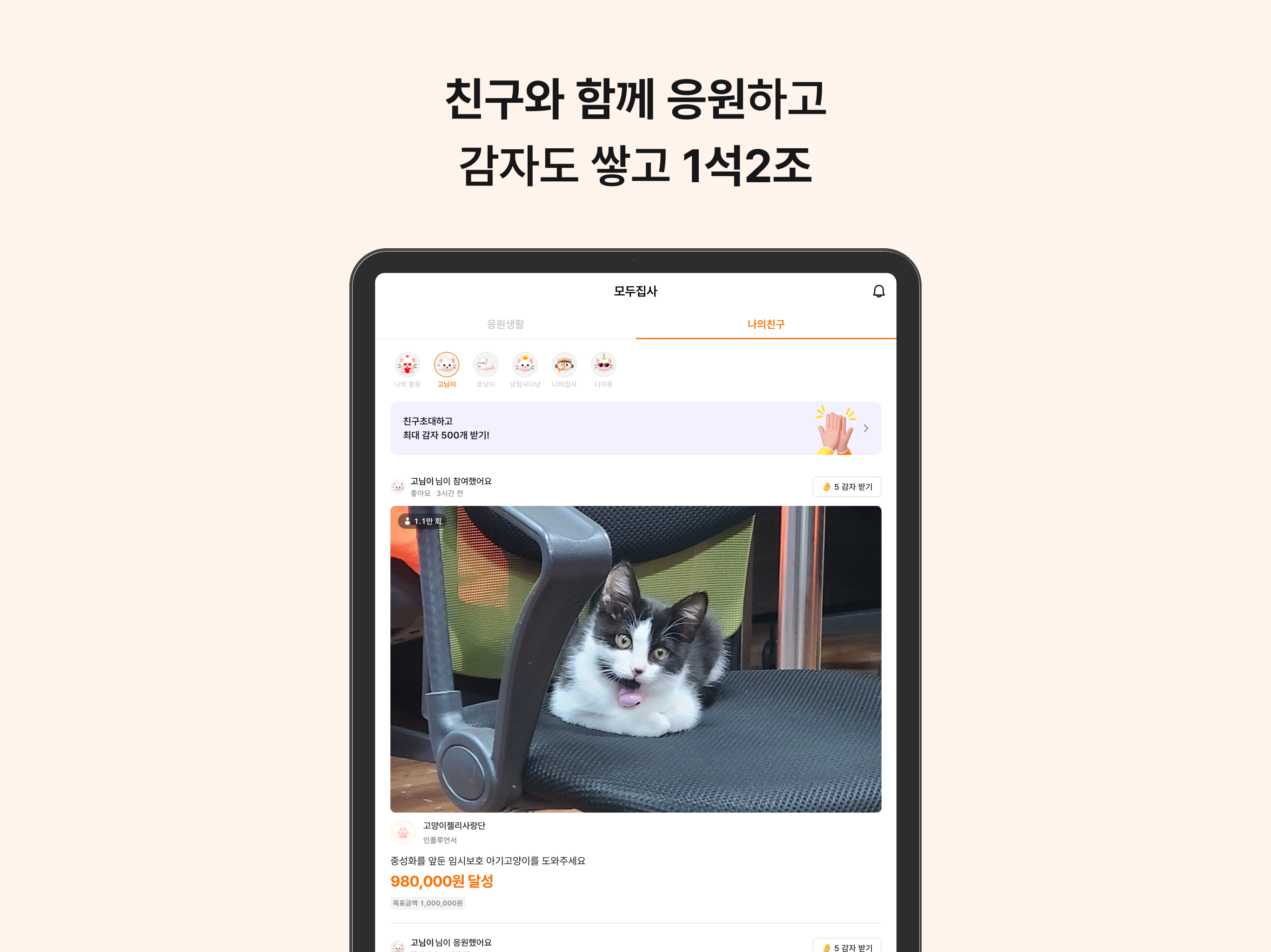 펫포션 - 고양이 소셜 라이프스타일 플랫폼 screenshot 13