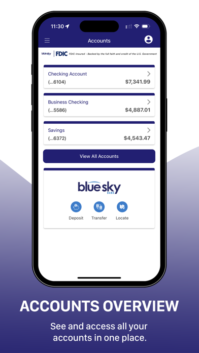 Blue Sky Bank Consumer Screenshot