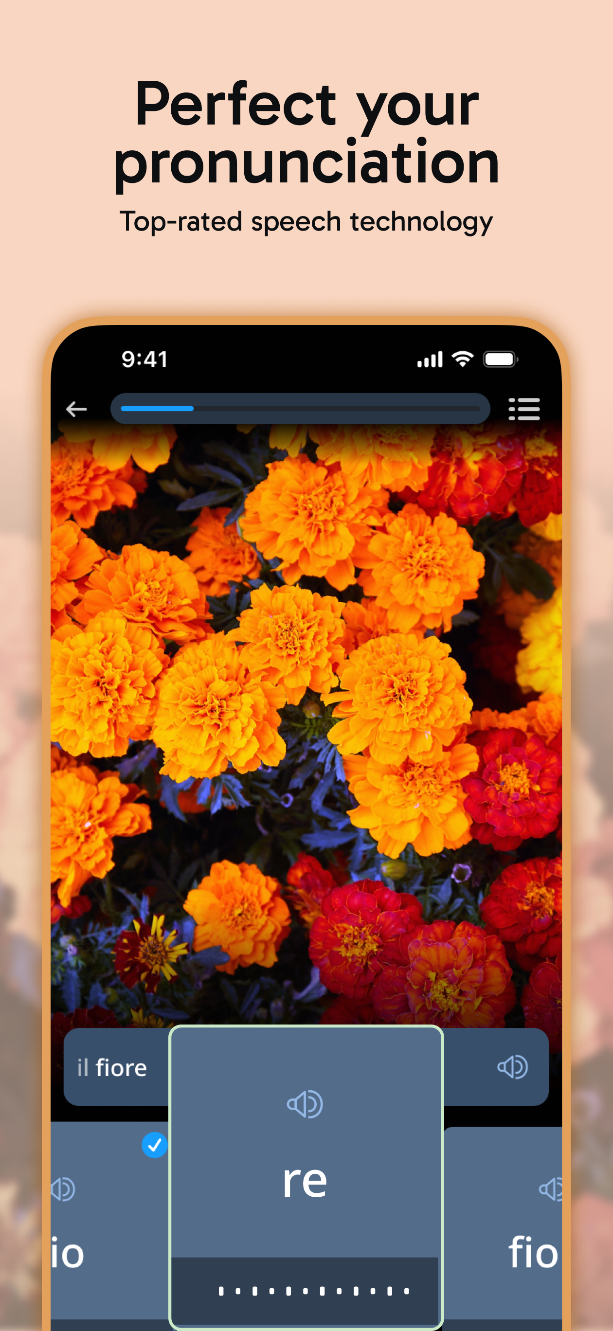 Rosetta Stone Sapphire screenshot 5