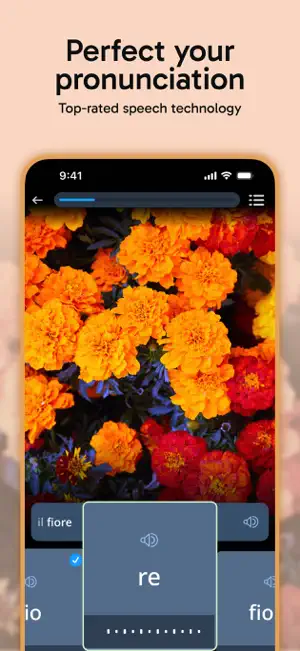Rosetta Stone Sapphire screenshot 4