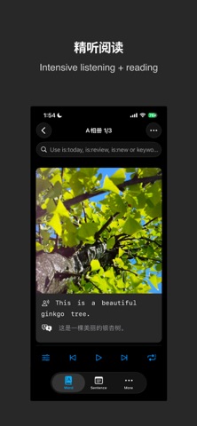 ListenCards screenshot