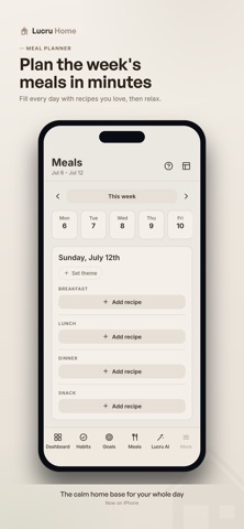 Lucru Home screenshot