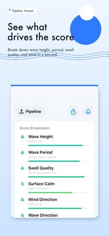Should I Go Surf? screenshot