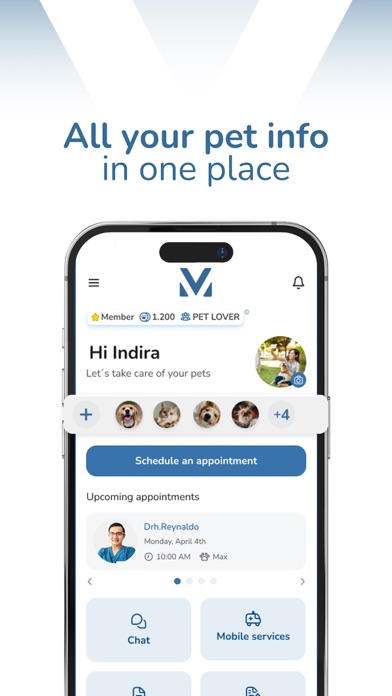 modernvet Screenshot