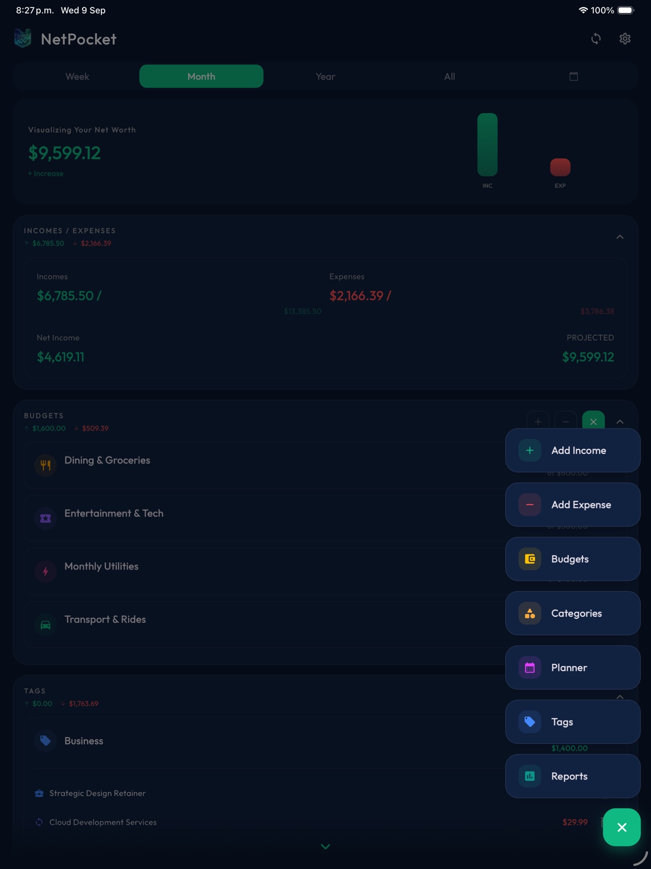 Screenshot 11 of NetPocket