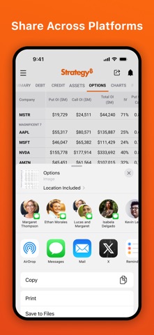 Strategy iPhone screenshot