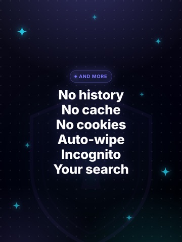 Single Tab - Private Browser iPad screenshot