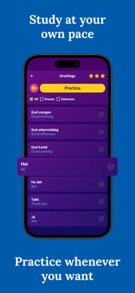 Learn Norwegian (Beginners) screenshot 3