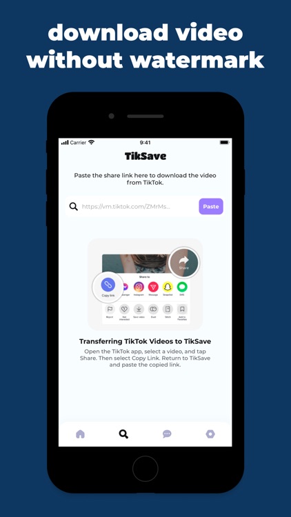 Download Video - TikSave