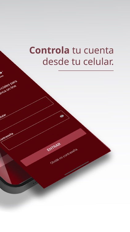 Caja Tlajomulco Movil screenshot-4
