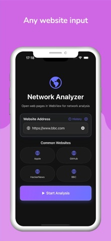 NetLens screenshot