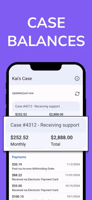 Child Support Payment Tracker screenshot 4