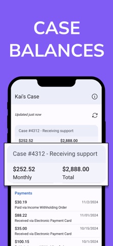 Child Support Payment Tracker Screenshot 4 of 5