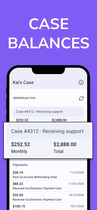 Child Support Payment Tracker Screenshot 4 of 5