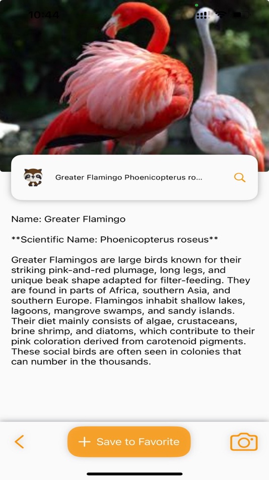 #2. Animal Identifier: AI Scanner (iOS) 由: VIET NAM JINGLE SOFTWARE