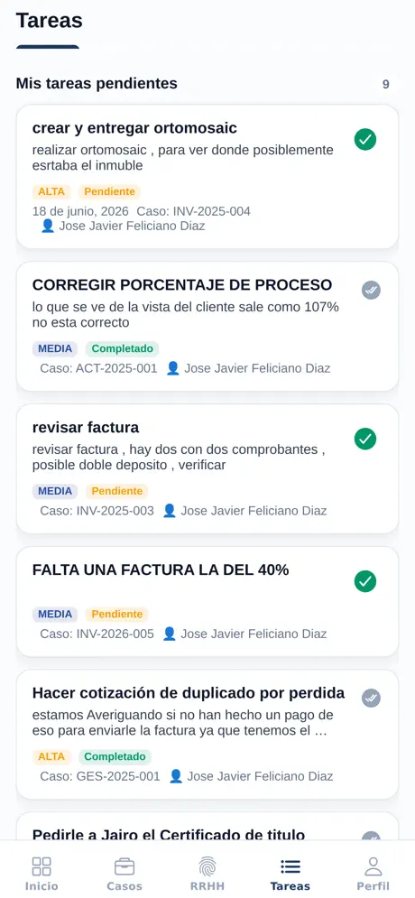 Deslindate screenshot 5