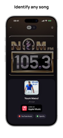 Radio Egypt Online: Live FM iPhone screenshot