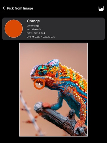 Color Picker & Identifier ipad screenshot 4