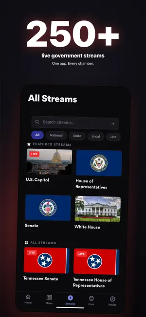 Civic Stream screenshot 1
