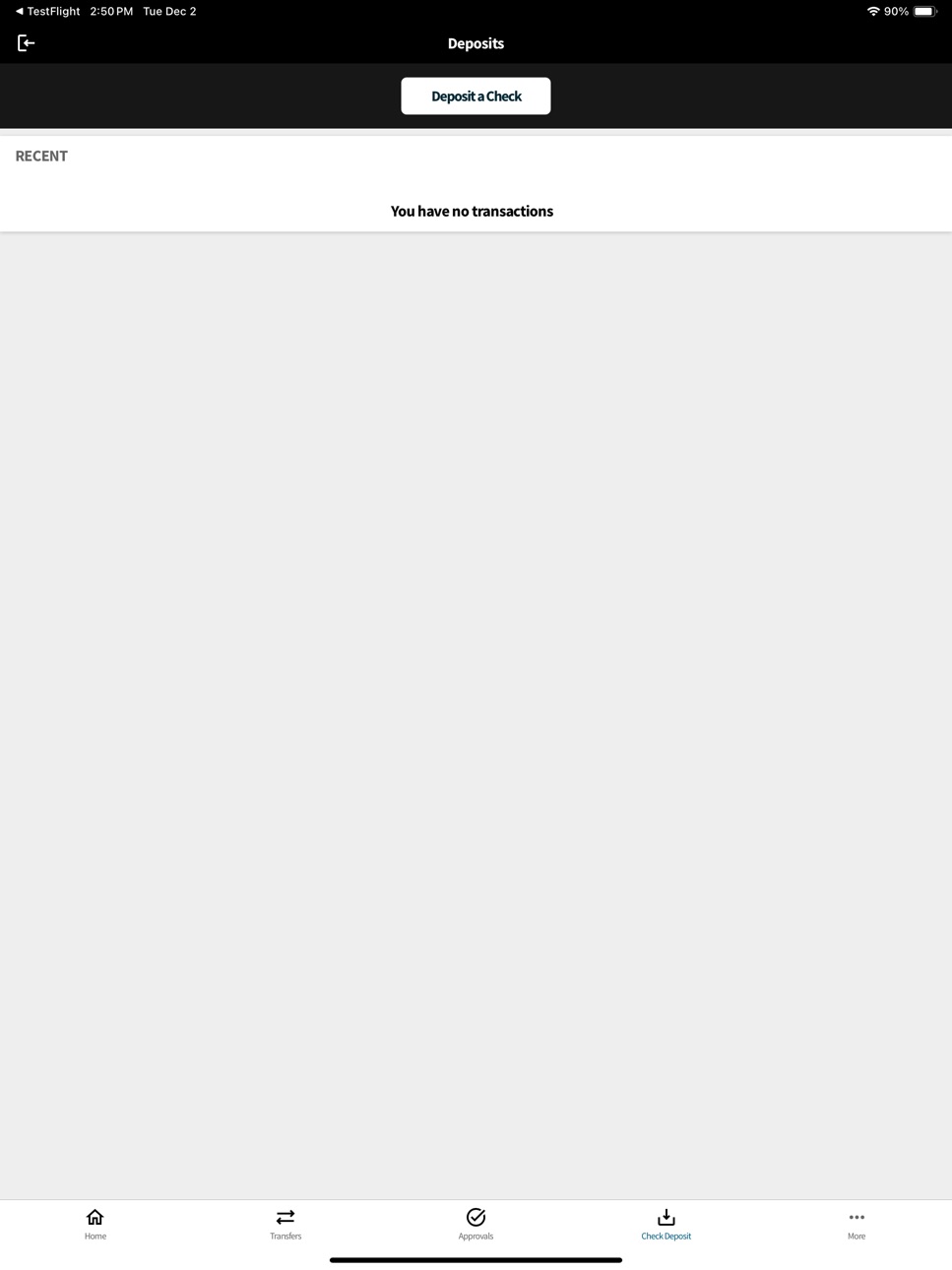 iPad screenshot