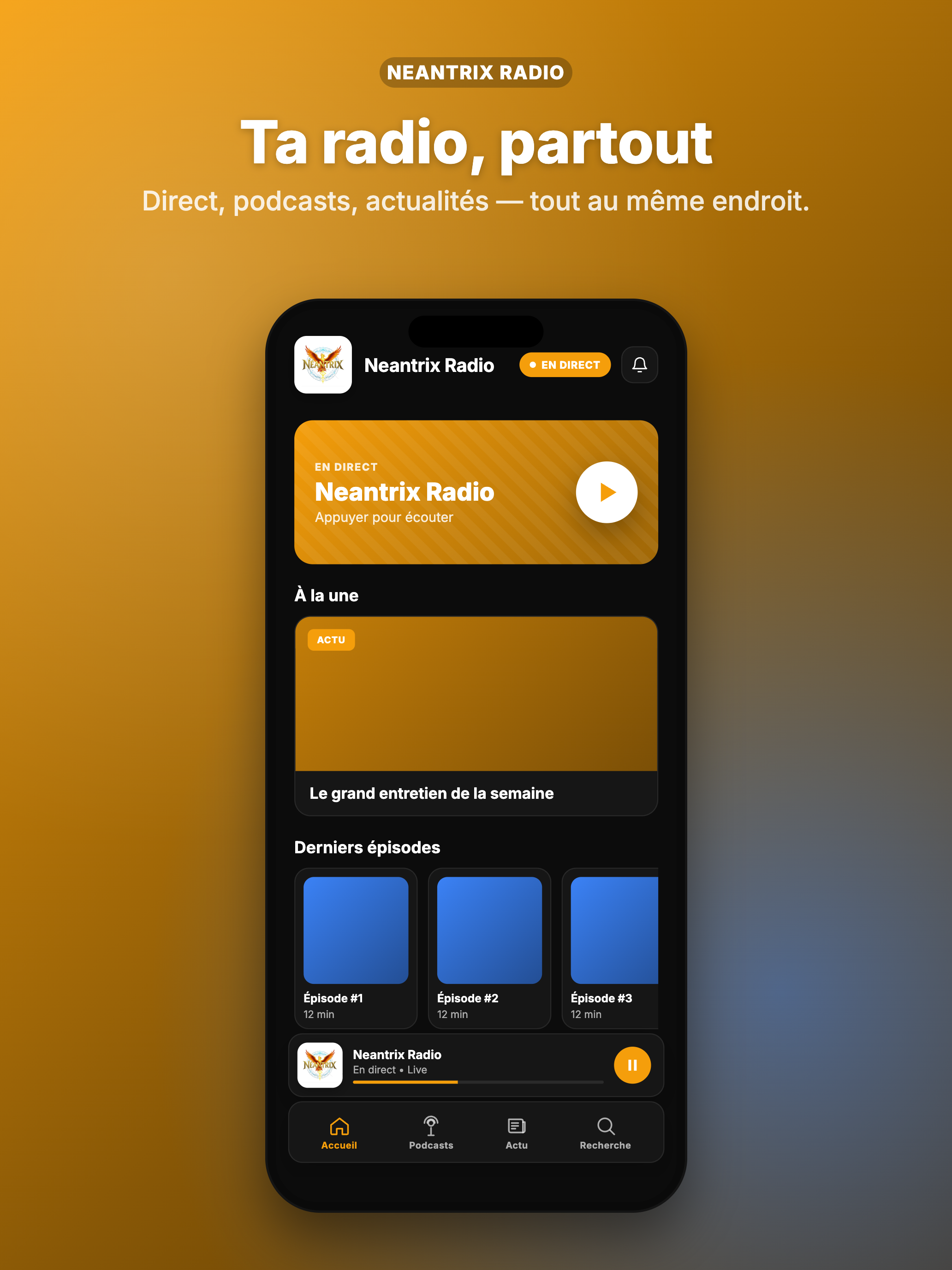 Neantrix Radio screenshot 12