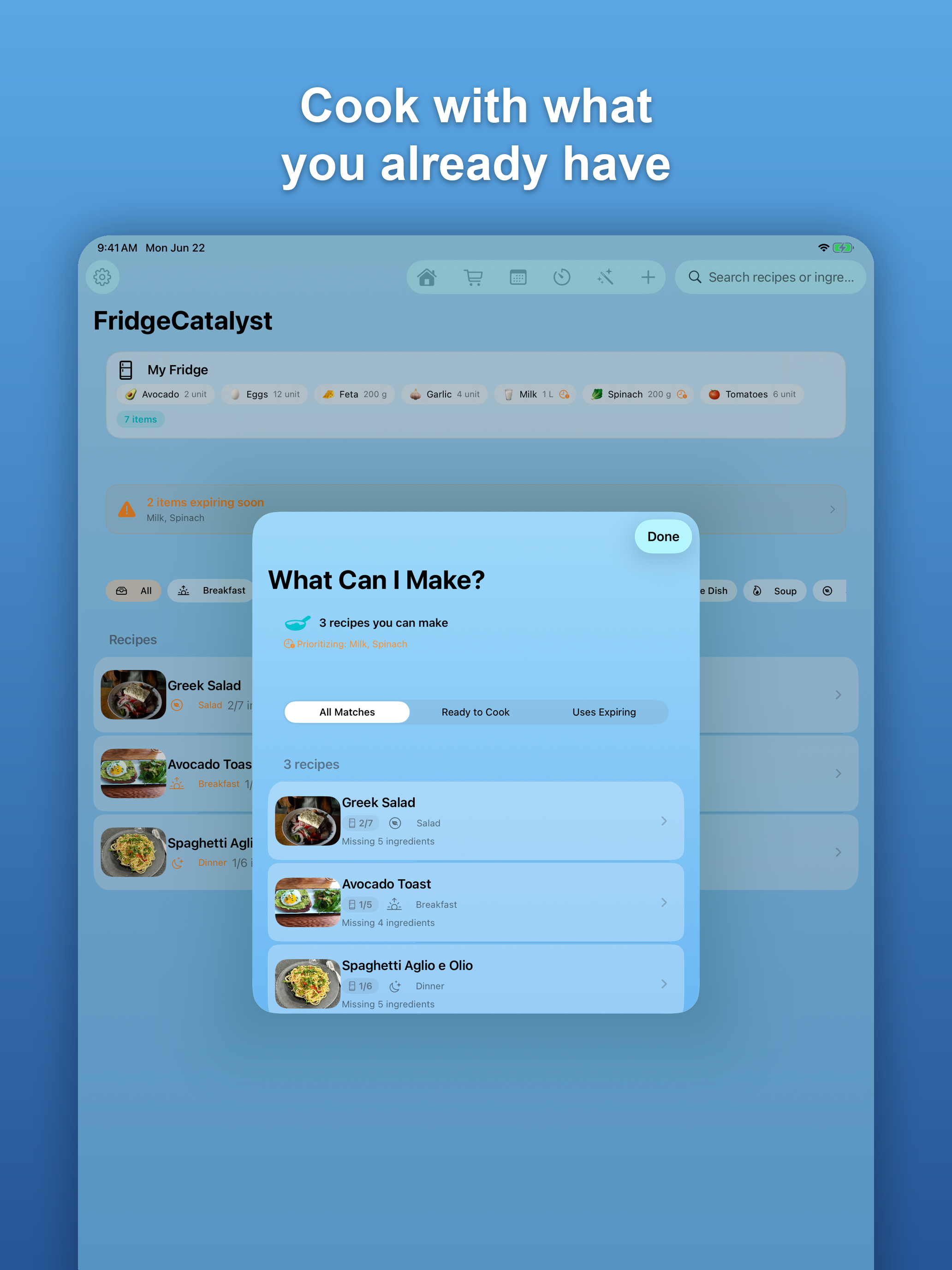 FridgeCatalyst