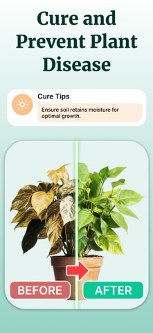 Plant Net: AI Plant Identifier screenshot 8