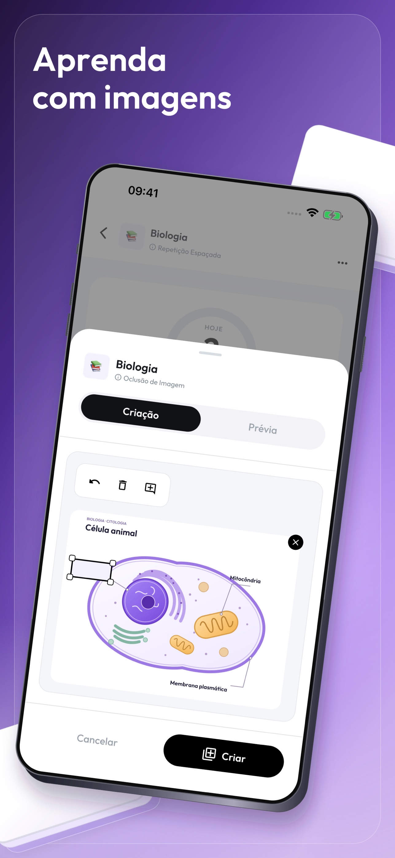 Screenshot 4 of Flashcard King