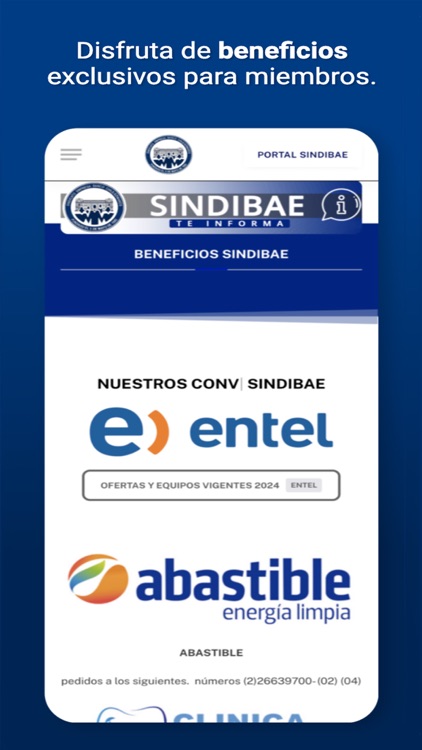 Sindibae Oficial screenshot-3