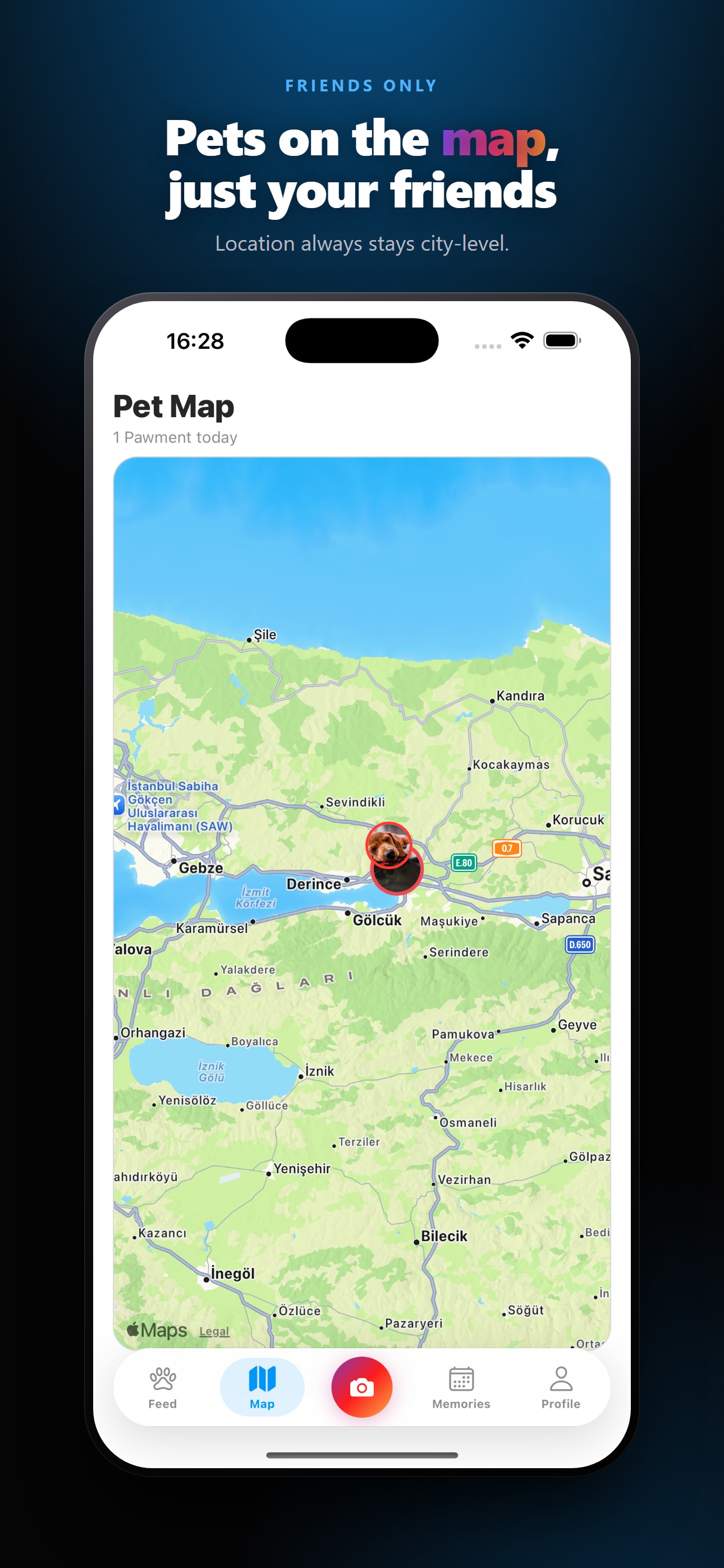 Pawment screenshot 5