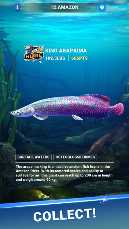 Fishing Travel screenshot-5