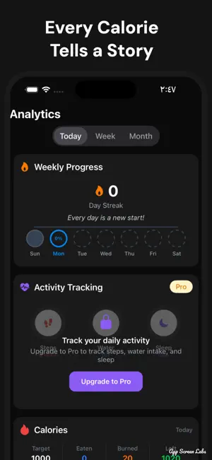 calinfo screenshot 2