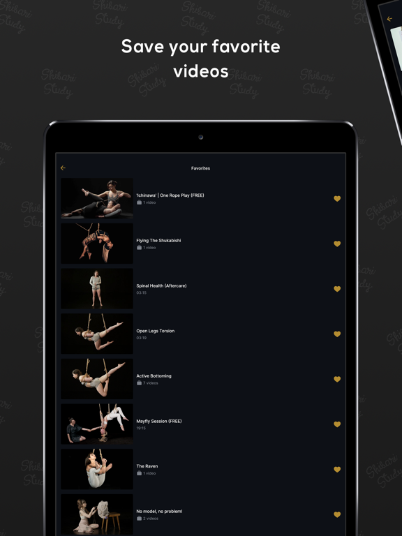 Shibari Study iPad screenshot 4 - Education app