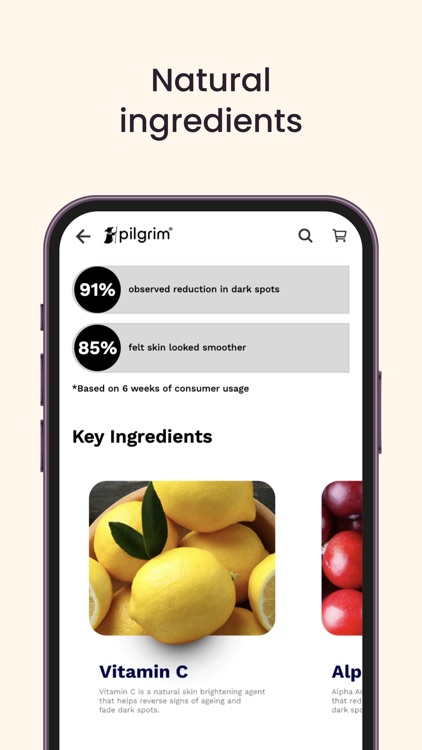 Pilgrim India screenshot-3