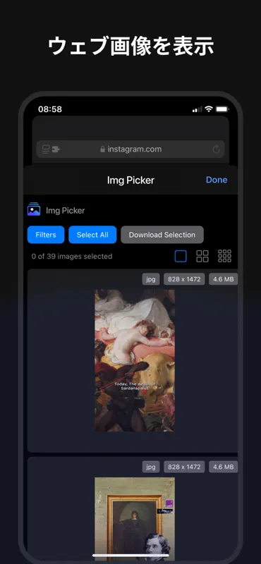 Img Picker Web Extension screenshot 1 of 4