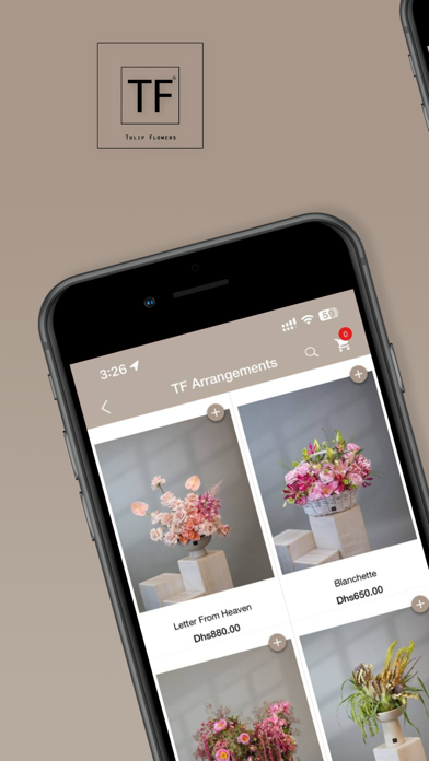Tulip Flowers Screenshot
