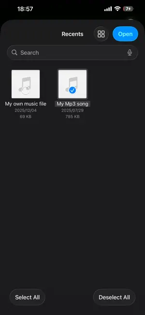 MP3Native screenshot 3