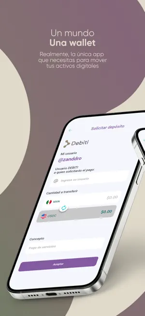 Debiti screenshot 2