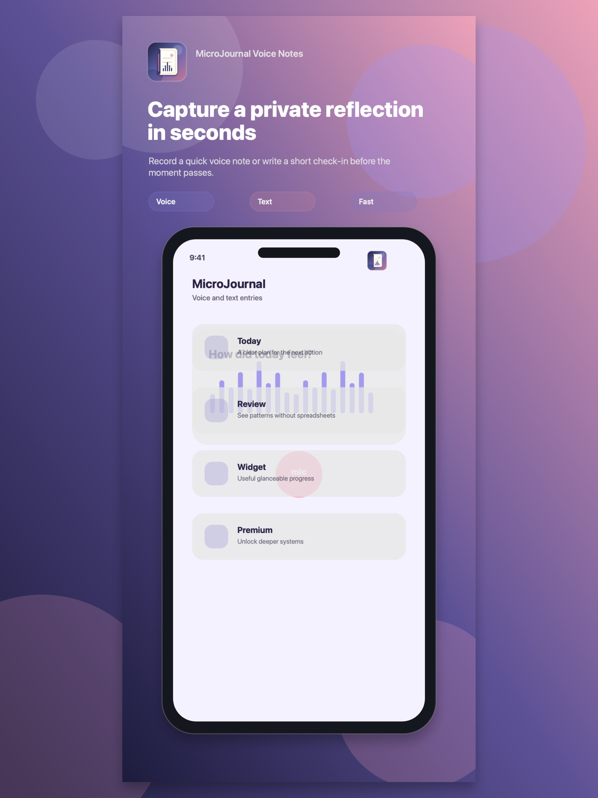 MicroJournal Voice Notes screenshot 6